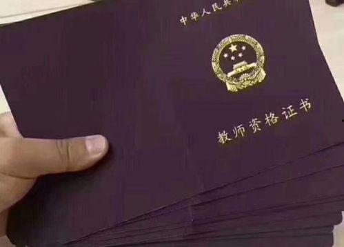 小学教师资格证教学视频